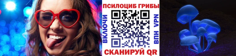 наркотики Нальчик Псилоцибиновые грибы Psilocybine cubensis