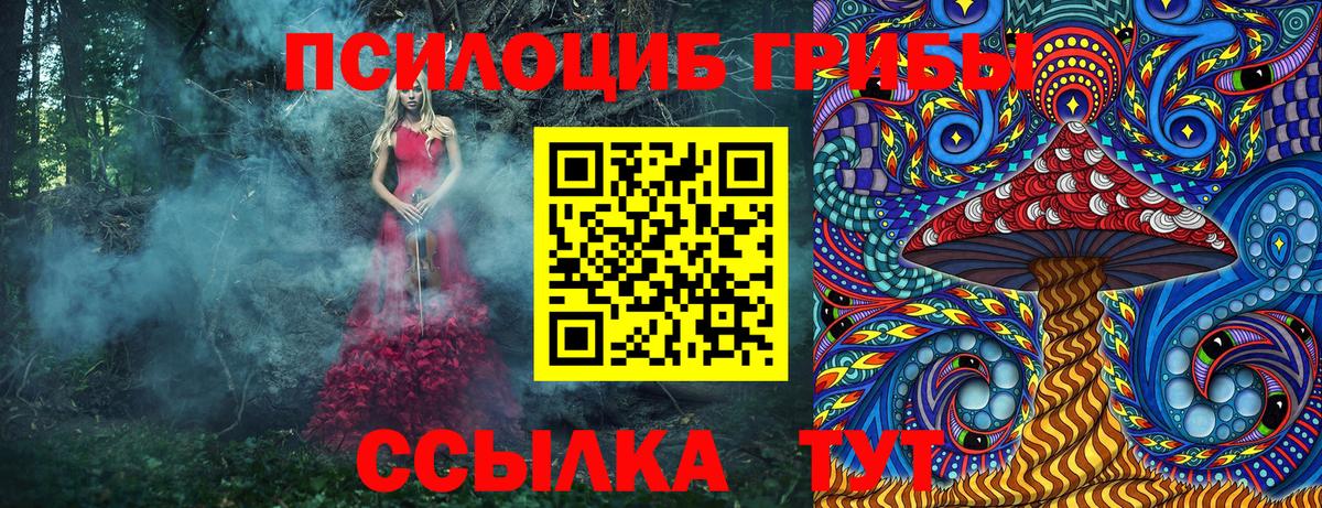 Галлюциногенные грибы GOLDEN TEACHER Нальчик